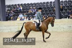 23R13_11527 thumbnail