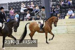 23R13_11528 thumbnail