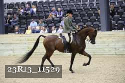 23R13_11529 thumbnail
