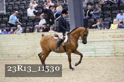 23R13_11530 thumbnail