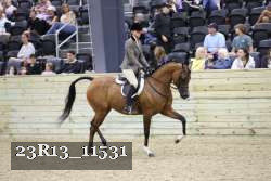 23R13_11531 thumbnail