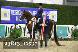 23R13_11537 thumbnail