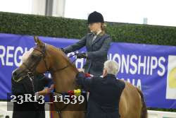 23R13_11539 thumbnail