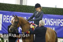 23R13_11541 thumbnail