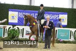 23R13_11542 thumbnail