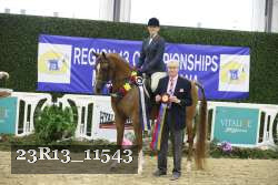 23R13_11543 thumbnail