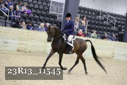 23R13_11545 thumbnail