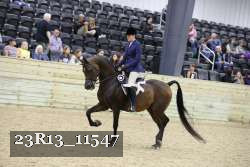 23R13_11547 thumbnail