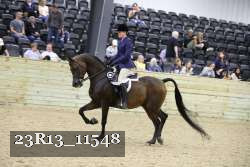 23R13_11548 thumbnail