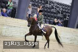 23R13_11550 thumbnail