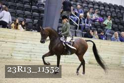 23R13_11552 thumbnail