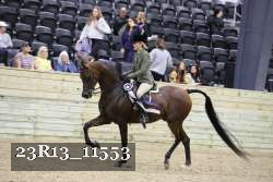 23R13_11553 thumbnail