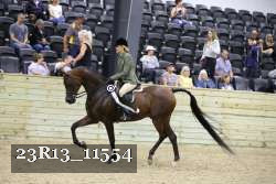 23R13_11554 thumbnail