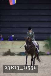 23R13_11556 thumbnail