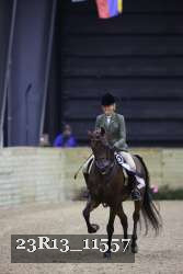 23R13_11557 thumbnail
