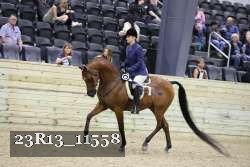 23R13_11558 thumbnail