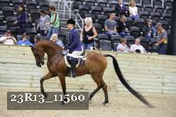 23R13_11560 thumbnail