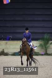 23R13_11561 thumbnail