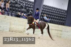23R13_11562 thumbnail