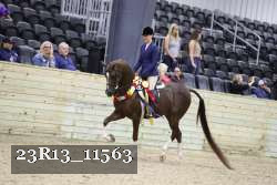 23R13_11563 thumbnail