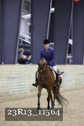 23R13_11564 thumbnail