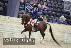 23R13_11565 thumbnail
