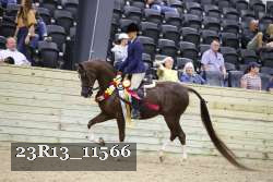 23R13_11566 thumbnail