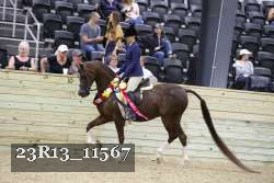 23R13_11567 thumbnail