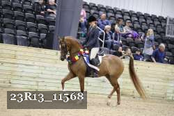 23R13_11568 thumbnail