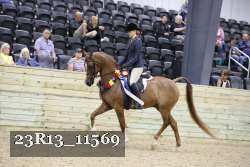 23R13_11569 thumbnail