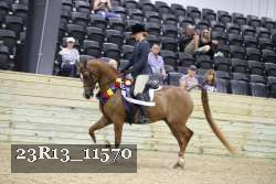 23R13_11570 thumbnail