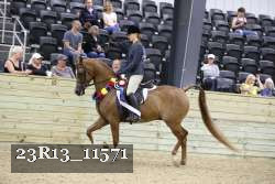 23R13_11571 thumbnail