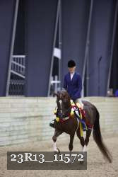 23R13_11572 thumbnail