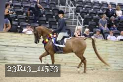 23R13_11573 thumbnail