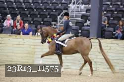 23R13_11575 thumbnail