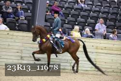 23R13_11678 thumbnail