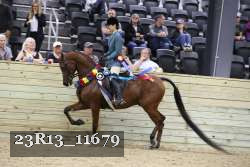 23R13_11679 thumbnail