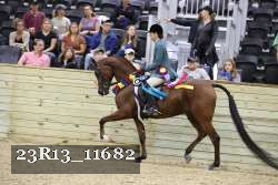 23R13_11682 thumbnail