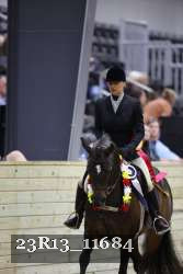 23R13_11684 thumbnail