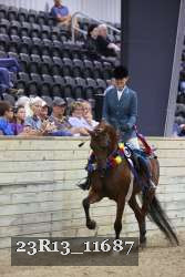23R13_11687 thumbnail