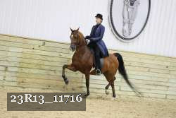 23R13_11716 thumbnail