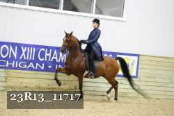 23R13_11717 thumbnail