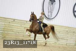 23R13_11718 thumbnail