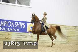 23R13_11719 thumbnail