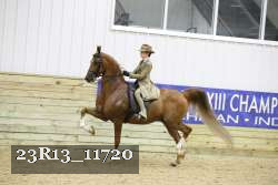 23R13_11720 thumbnail