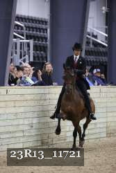 23R13_11721 thumbnail