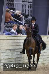 23R13_11722 thumbnail
