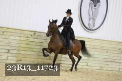 23R13_11723 thumbnail