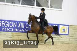 23R13_11724 thumbnail