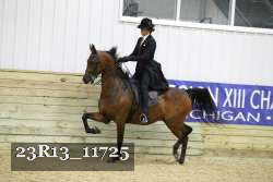 23R13_11725 thumbnail